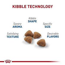 Load image into Gallery viewer, Royal Canin Indoor Adult Dry Cat Food, 15 lb bag
