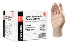 Load image into Gallery viewer, Basic Medical Clear Vinyl Exam Gloves - Latex-Free &amp; Powder-Free - Large, VGPF3003 (Case of 1,000)
