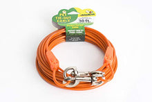 Load image into Gallery viewer, IntelliLeash Products Tie Out Cable for Dogs (90 lb/30')
