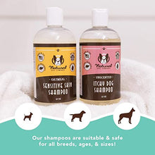 Load image into Gallery viewer, Natural Dog Company Sensitive Skin Shampoo (12 oz) | Aloe Vera and Oatmeal Dog Shampoo for Itchy Skin | Natural and Hypoallergenic | Non-Toxic and Paraben-Free | Hydrates, Soothes and Heals Irritation
