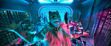 Load image into Gallery viewer, Cats (2019) [DVD]
