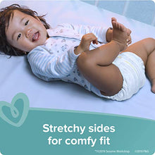 Load image into Gallery viewer, Diapers Size 6, 64 Count - Pampers Baby Dry Disposable Baby Diapers, Super Pack
