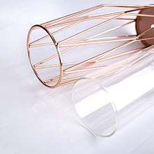 Load image into Gallery viewer, Gelible Geometric Glass Flower Vase with Metal Holder, Crystal Clear Transparent Planter Flowers Vase,Handcrafted Plating Metal Vase,Clear Vase Decor Home Office Wedding Party and Holiday Celebrate
