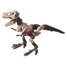Load image into Gallery viewer, Transformers Toys Generations War for Cybertron: Kingdom Deluxe WFC-K7 Paleotrex Fossilizer Action Figure - Kids Ages 8 and Up, 5.5-inch
