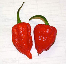 Load image into Gallery viewer, The Spice Lab - (3.5 oz) Ghost Pepper Salt (Naga Jolokia) - French Jar of Ghost Pepper Sea Salt- Gluten-Free Non-GMO All Natural Premium Gourmet Spicy Salt - No. 237
