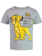 Load image into Gallery viewer, Disney Lion King The Simba Toddler Boys 4 Pack Graphic T-Shirt 2T
