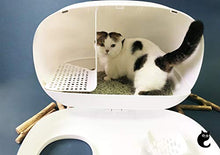 Load image into Gallery viewer, MS Cat Litter Box for Easier Handling of Cat Litter, Enclosed Design, Easy to Clean, Prevent Sand Leakage, Easy Assembly and Large Space, with Cat Litter Scoop (Tiffany Blue)

