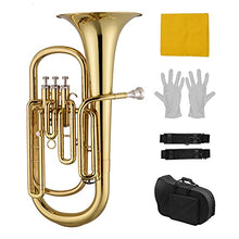 Load image into Gallery viewer, Brass B Flat Baritone Bb Wind Instrument Gold Lacquer Surface with Carry Case Mouthpiece Gloves Cleaning Cloth Trumpet Set
