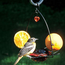 Load image into Gallery viewer, Birds Choice OFF Oriole Flower-Shaped Feeder w/Heart Ornament, Oriole Nectar &amp; Jelly Feeder, 3oz Capacity, Orange
