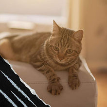 Load image into Gallery viewer, Emmy's Best Stop The Scratch Cat Deterrent Spray for Kittens and Cats - Non-Toxic, Safe for Plants, Furniture, Floors and More with Rosemary Oil and Lemongrass
