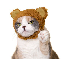 Load image into Gallery viewer, Kitan Club Cat Cap - Pet Hat Blind Box Includes 1 of 6 Cute Styles - Soft, Comfortable - Authentic Japanese Kawaii Design - Animal-Safe Materials, Premium Quality (Bear)
