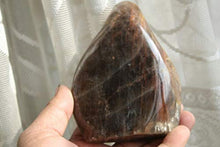 Load image into Gallery viewer, Crystal, Amazing Orbicular Black Moonstones Rock Crystal Small Stone Druzy Slab Reiki K11
