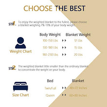 Load image into Gallery viewer, Mr.Sandman Sherpa Fleece Weighted Blanket 15lbs for Twin/Full Size Bed with Dual-Sided Slate Blue, Cozy Fluffy Bed Blanket for Adults - 48"x72"
