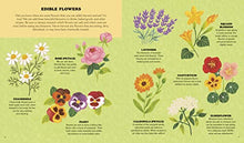 Load image into Gallery viewer, Little Homesteader: A Spring Treasury of Recipes, Crafts, and Wisdom
