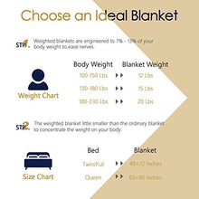 Load image into Gallery viewer, Mr.Sandman Faux Fur Sherpa Weighted Blanket for Full/Queen Size Bed, Super Soft Long Fur Throw Blanket for Bed Couch Chair Photo Props - 60"×80" 15lbs, Modern Grey
