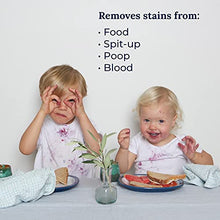 Load image into Gallery viewer, Hate Stains Co. Stain Remover for Clothes - Non-Toxic Laundry Stain Remover Spray for Baby &amp; Kids - Messy Eater Spot Cleaner for Clothing, Fabric, Carpet (120ml, 4 oz Spray Bottles, 2 Pack)
