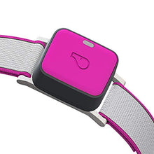 Load image into Gallery viewer, Whistle GO/GO Explore/Twist &amp; Go Pet Collars/See Me Pink/Medium-Large
