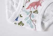 Load image into Gallery viewer, Cadidi Dinos Kids Series Baby Soft Cotton Panties Little Girls' Assorted Underwear (Pack of 6) Size 2T 3T
