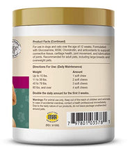 Load image into Gallery viewer, NaturVet – Glucosamine DS Plus - Level 2 Moderate Care – Supports Healthy Hip &amp; Joint Function – Enhanced with Glucosamine, MSM &amp; Chondroitin – for Dogs &amp; Cats – 120 Soft Chews
