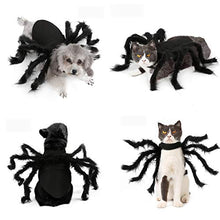 Load image into Gallery viewer, N3 2020 Updated Version Product Halloween Spider Pet Costume，Halloween Horror Simulation Plush Big Spider Wings Dress Up Funny Party for Dogs or Cats (M)

