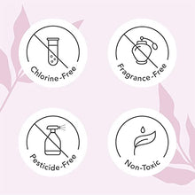 Load image into Gallery viewer, Rael Organic Cotton Unscented Tampons - Regular Absorbency, BPA Free Plastic Applicator, Chlorine Free, Ultra Thin Applicator with Leak Locker Technology (32 Count, Bundle Pack)
