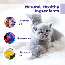 Load image into Gallery viewer, PETPLUS Cat Calming Collar for Cats | Purrfect to Reduce Your Pet’s Anxiety or Aggression | Pheromones for Cats &amp; Cat Anxiety Relief | Cat Calming Products for Kittens | 2-Month Protection, 1 Collar
