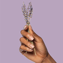 Load image into Gallery viewer, Poo-Pourri Spiced Berry Before-You-Go Toilet Spray to Trap Odors and Leave Bathrooms Smelling Great with a Blend of Essential Oils for a Refreshing Poo Spray, 2 oz
