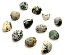 Load image into Gallery viewer, White &amp; Green Chalcedony Agate Gemstone Pebbles Polished Natural Multicolor Crystal Mineral Tumbled Stone Cabochon Specimen Cabs - India (5PCS)
