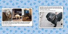 Load image into Gallery viewer, #WeRateDogs: The Most Hilarious and Adorable Pups You've Ever Seen
