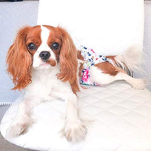Load image into Gallery viewer, CuteBone Dog Diapers Female Small 3 Pack for Doggie D14S
