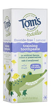 Load image into Gallery viewer, Tom's of Maine Fluoride-Free Toddler Training Toothpaste, Mild Fruit, 1.75 oz. 3-Pack
