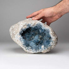 Load image into Gallery viewer, Astro Gallery of Gems Blue Celestite Cluster Geode from Sankoany, Ketsepy Mahajanga, Madagascar (18.5 lbs) - BC56
