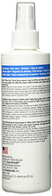 Load image into Gallery viewer, Aleene's 15581 Stiffen-Quick Fabric Stiffening Spray 8oz,Original Version
