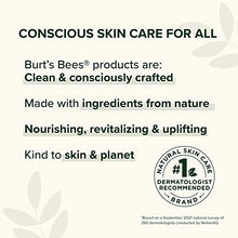 Load image into Gallery viewer, Face Cream, Burt's Bees Night Facial Lotion for Sensitive Skin, Natural Skin Care, 1.8 Ounce (Packaging May Vary)
