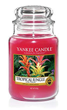 Load image into Gallery viewer, Yankee Candle 5038581033709 jar Large Tropical Jungle YSDTJ, one Size

