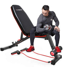 Load image into Gallery viewer, HARISON Weight Bench Adjustable Utility Exercise Workout Bench for Full Body Workout Home Gym Strength Training Multi-Purpose Folding Flat Incline Decline Bench 550 LBS (HR-608)
