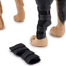 Load image into Gallery viewer, Alician 1 Pair Dogs Care Kneepad Leggings Pet Protector Surgery Injury Protective Cover  Blue S
