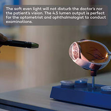 Load image into Gallery viewer, Weltool M6-Dr Diagnostic Medical Penlight No-Glare for Doctor Nurse Inspection Torch Medical Care Emergency Pocket Pen Light with Clip
