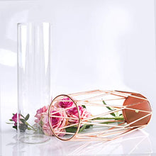 Load image into Gallery viewer, Gelible Geometric Glass Flower Vase with Metal Holder, Crystal Clear Transparent Planter Flowers Vase,Handcrafted Plating Metal Vase,Clear Vase Decor Home Office Wedding Party and Holiday Celebrate
