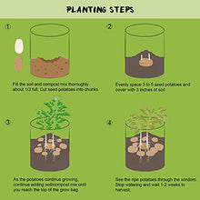 Load image into Gallery viewer, Homyhoo Potato Grow Bags with Flap 10 Gallon, 4 Pack Planter Pot with Handles and Harvest Window for Potato Tomato and Vegetables, Black and Gray
