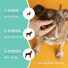 Load image into Gallery viewer, Natural Dog Company Skin &amp; Coat Chews | Salmon &amp; Peas Flavor | Dog Vitamins and Supplements for Healthy Skin and Coat | Itch Relief for Dogs with Allergies | with Biotin, Vitamin E, and Omega 3
