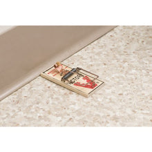 Load image into Gallery viewer, Victor Metal Pedal Mouse Trap - M154 Wood Mouse Trap

