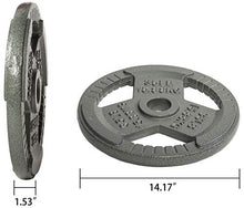 Load image into Gallery viewer, Sporzon! Cast Iron Olympic 2-Inch Grip Plate Weight Plate for Strength Training, Weightlifting and Crossfit, Single, Gray
