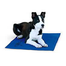 Load image into Gallery viewer, K&amp;H Pet Products Coolin' Pet Pad Large Blue 20" x 36"
