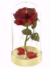Load image into Gallery viewer, HOMESEASONS Red Rose in Glass Dome,Beauty and The Beast Red Rose Pre-Lit Silk Rose 7 3/4" H (Metal Base)
