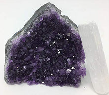 Load image into Gallery viewer, SUPERIOR Amethyst Cluster - 1 lb to 1.5 lbs - Uruguayan Amethyst Crystals. Includes a Bonus 3 inch Selenite Wand in a Velvet Bag
