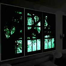 Load image into Gallery viewer, 1 Gallon Luminous Glow in The Dark Paint
