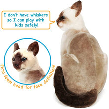 Load image into Gallery viewer, Stefan The Siamese Cat - 14 Inch Stuffed Animal Plush - by Tiger Tale Toys
