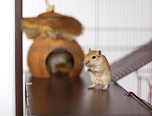 Load image into Gallery viewer, Prevue Rat and Chinchilla Cage 495 Earthtone Dusted Rose, 31 x 20.5 x 40 IN

