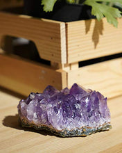 Load image into Gallery viewer, Mimosa Natural Amethyst Cluster Petite Purple Crystals are Indeed to Grow Your Crystal Collection.Plus a Bonus Mineral and Chakra Stone Set Included as a Thank You. (7oz~13oz)
